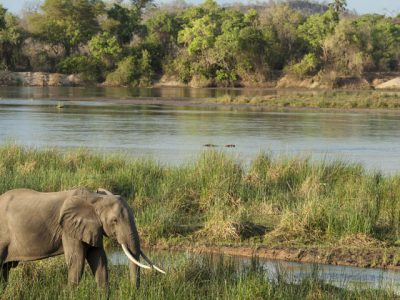 3 Days Nyerere National Park Mid-Range Safari