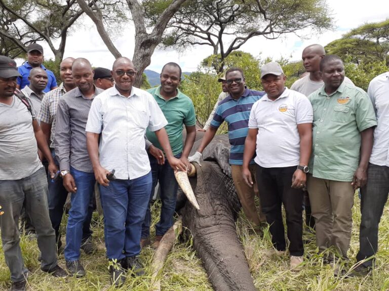 Member With Wildlife Protection