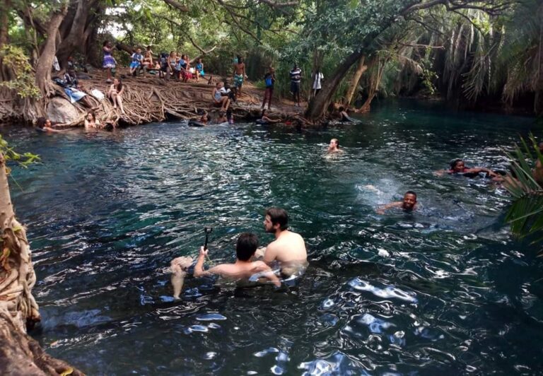 Overview Of Kikuletwa Hot Springs