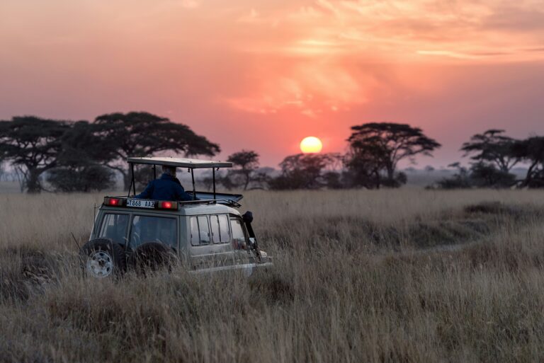 Responsible Travel in Tanzania: What Ethical Tourism Really Means (and Why It Matters)